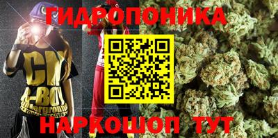 2c-b Кинель